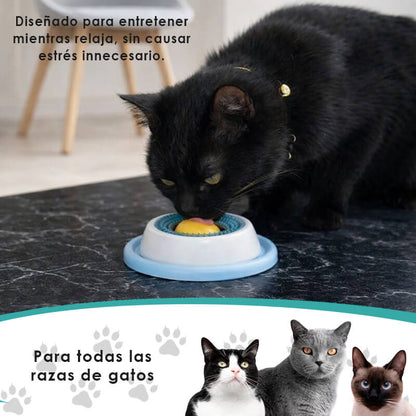 Comedero Antiestrés para Mascotas